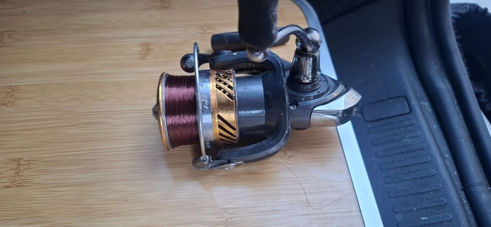 Mulineta daiwa laguna