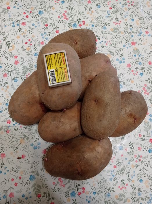 Картофель домашний, местный.