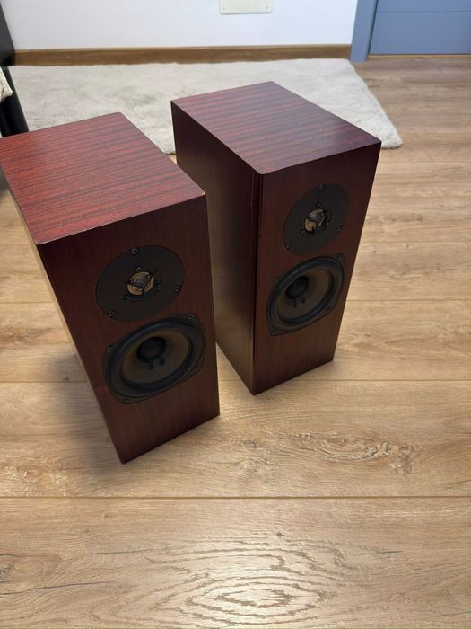 Boxe profesionale TOTEM ROKK