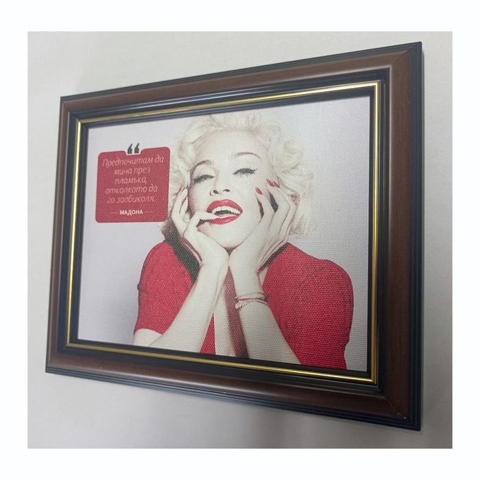 Картина с певицата Мадона