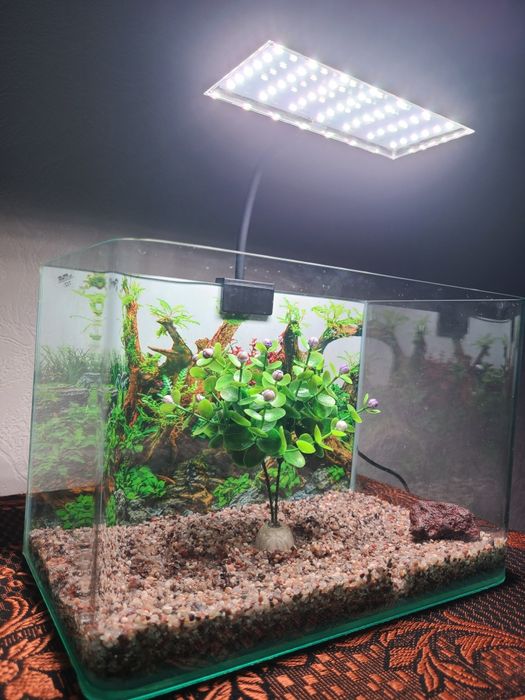 Asssalomalekum akvaryum sotiladi yengi