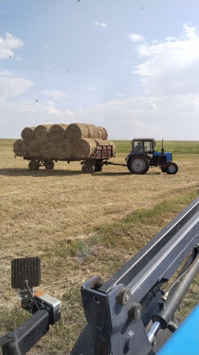 Продам сено в рулонах