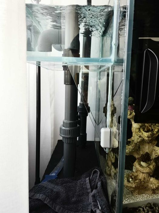 Acvariu marin la comanda