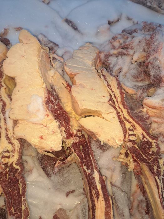 Продам согым 1/4 часть