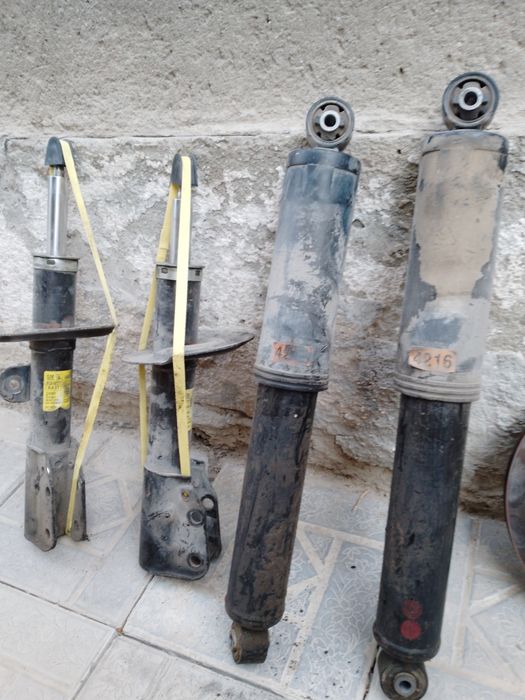 Амализатр каптив