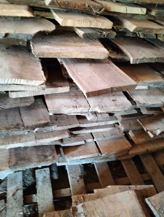 Scandura Cireș și Frasin!