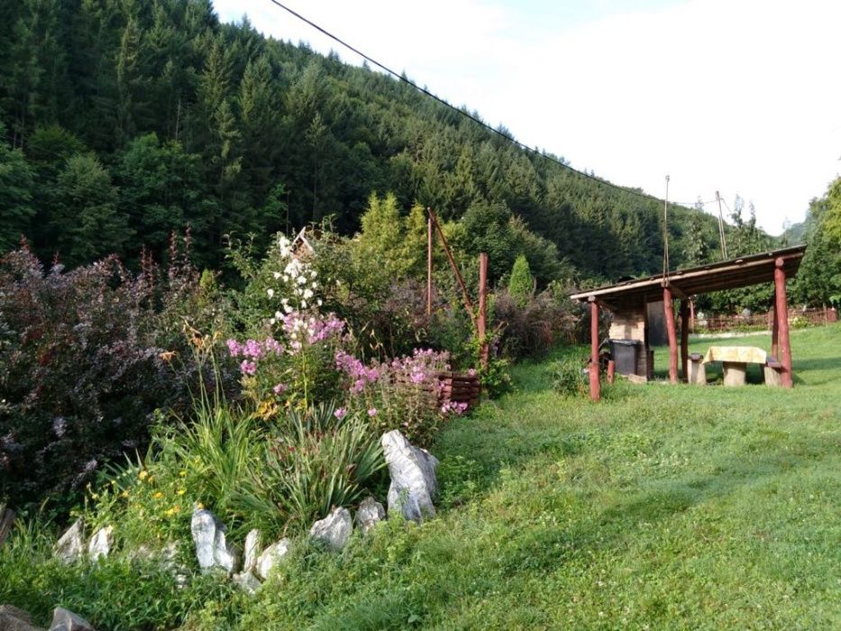 Cabana cu ciubar, disponibila de 1 mai, zona Baisoara,disponibila de 1 Decembrie