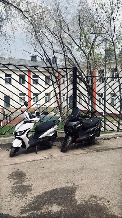 Аренда м8 самурай Макси