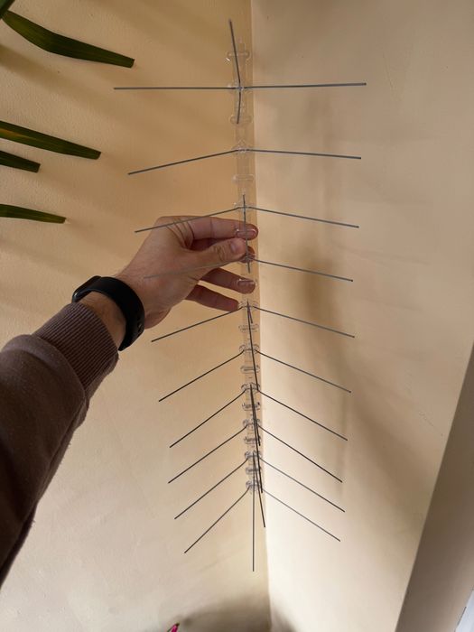 Шипове против птици