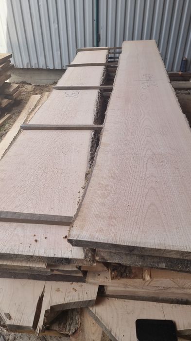 Cherestea uscata frasin.