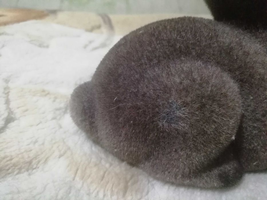 Копилка кролик серый