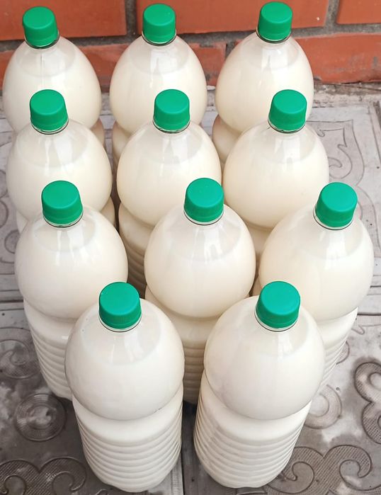 Кумыс чистый натуральный