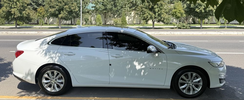 Malibu premier oq