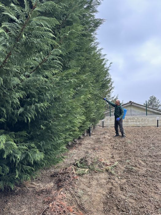 Косене на високи и ниски треви, поддръжка на градини, изграждане
