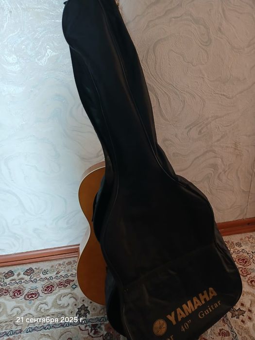 Продам гитару с чехлом