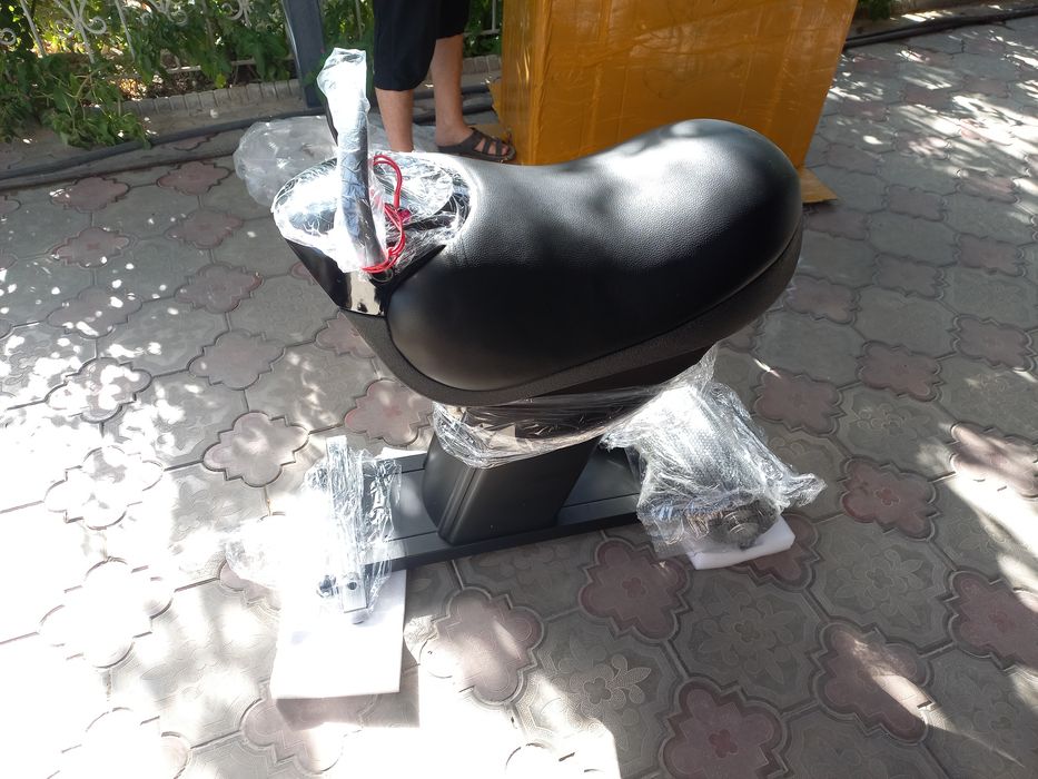 Электроная  лошадь