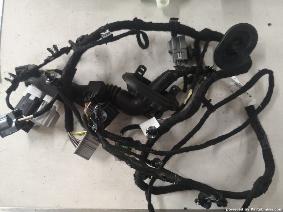 Instalatie Electrica Usa Dreapta Fata Ford Focus Iv (Hn) [ 2018 - > ]