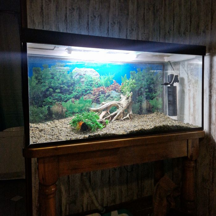 Аквариум 300 л. со столом.