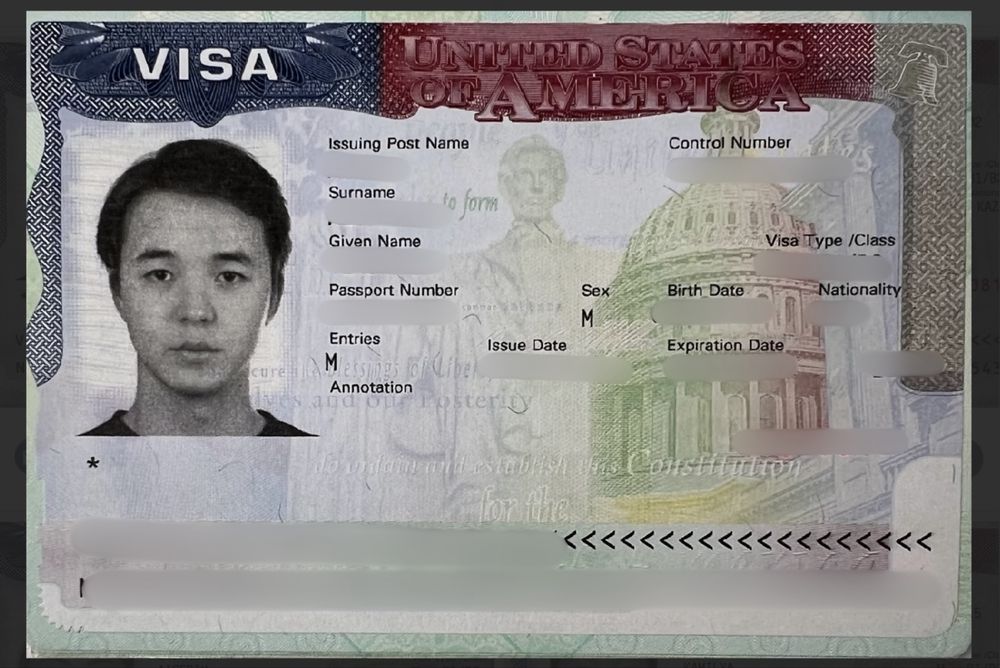 Виза в США B1 B2 F1