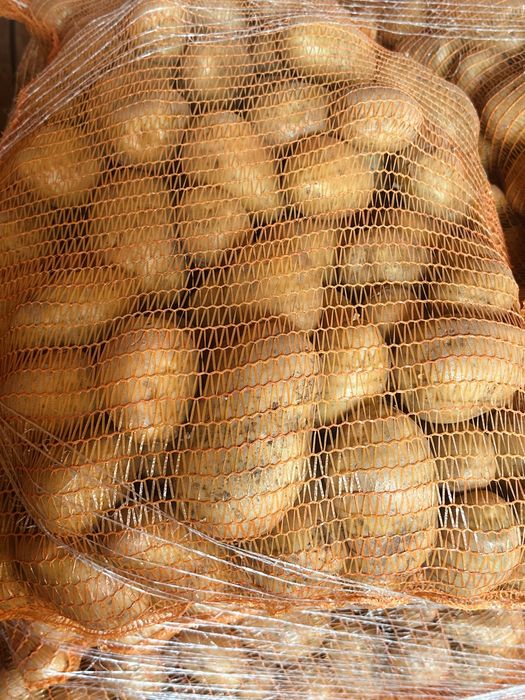 Cartof alb de consum - calitate premium - producator