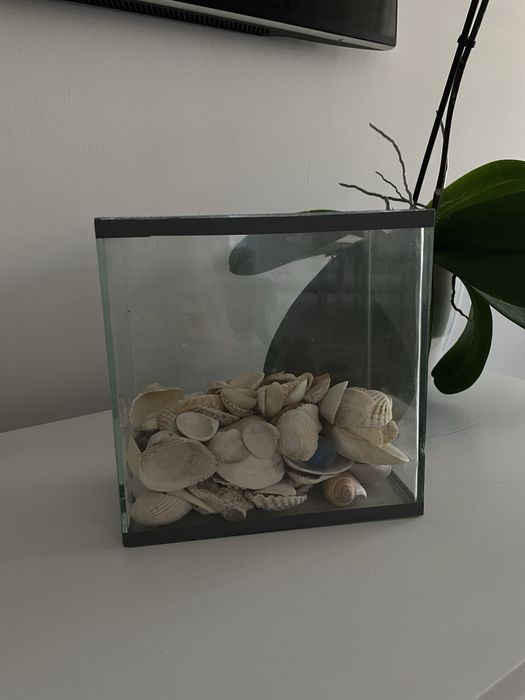 Продам маленький аквариум с ракушками