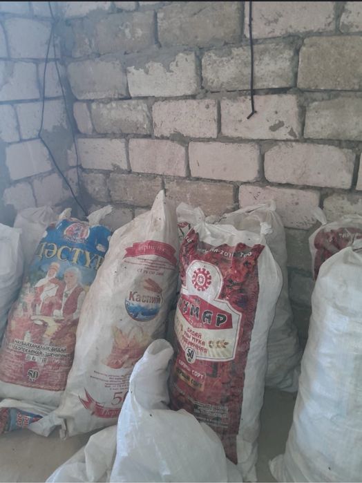 Малға қатқан нан