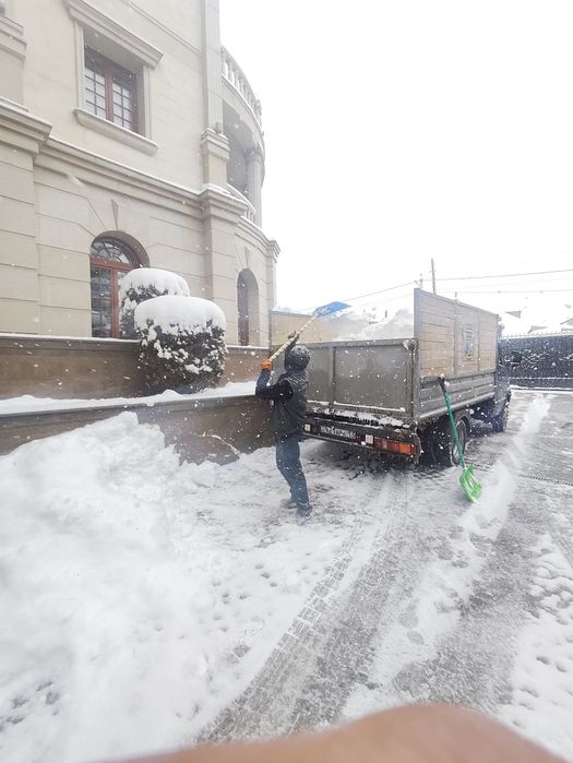 Вывоз мусора вывоз ветки