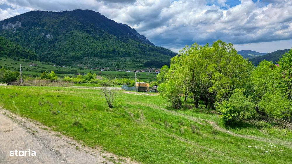 Teren intravilan 1273 mp zona Bran(Tohanita) la 4 km de Zarnesti