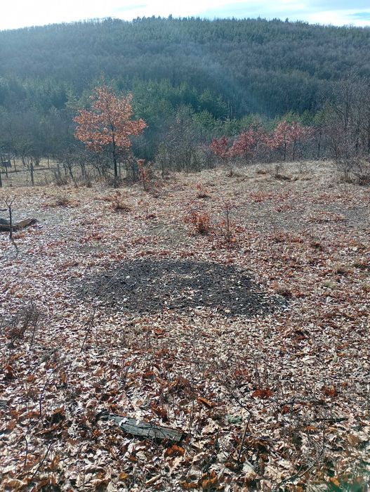 Имот в с.Дреново