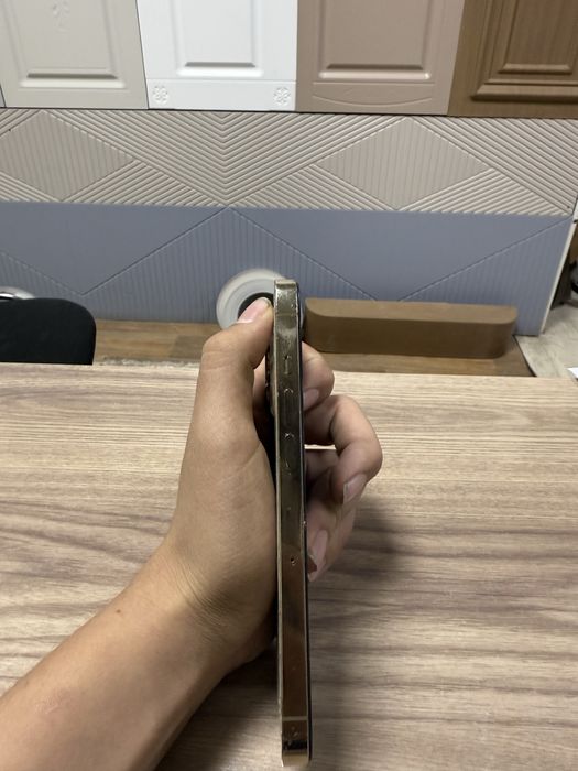 iPhone 13 Pro
