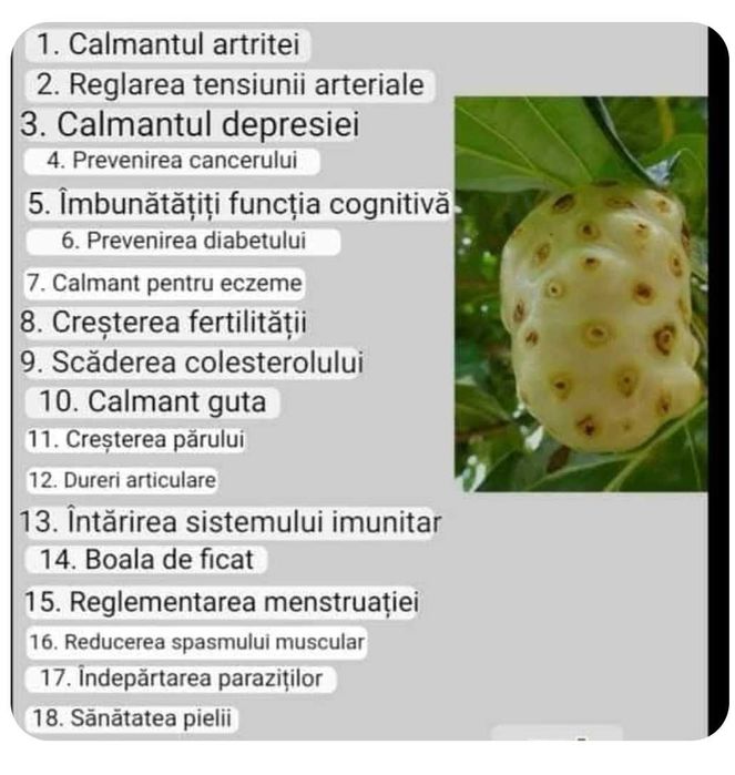 Suc Noni benefic
