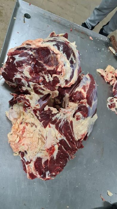 Говядина халал оптом