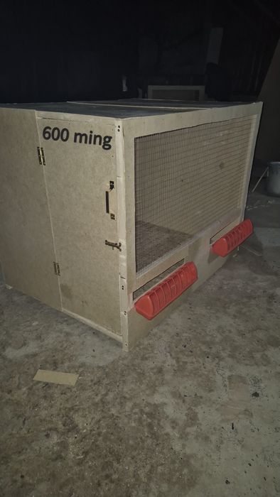 Katak sotiladi/ Manzil Farg‘ona