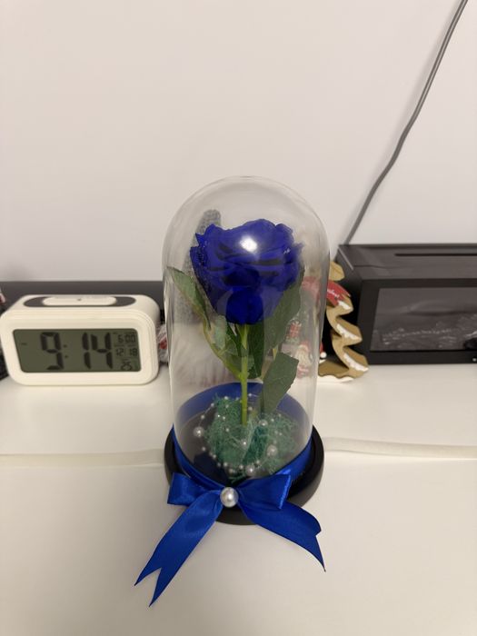 Cupola sticla cu trandafir criogenat