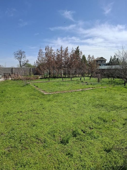 Продается дом 15 соток дача тойтепа, нурафшан, ташморе