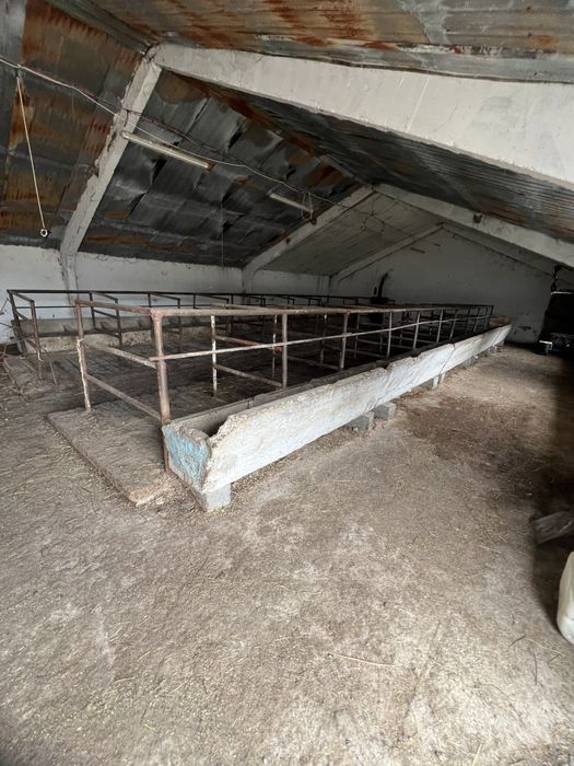 Мал бордақылау алаңы жалға беріледі