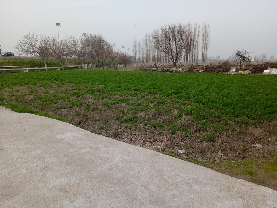 Участка йер сотилади Тошкент вилояти Нурафшон шахрида