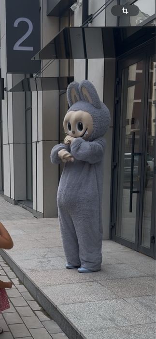 Продам костюм Лабубу ростовой