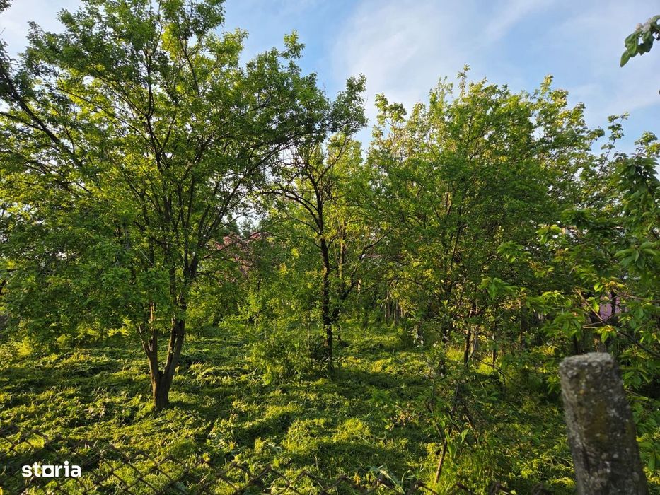 Casă cu 4 camere, mobilată, Mosteni, 35000 EUR