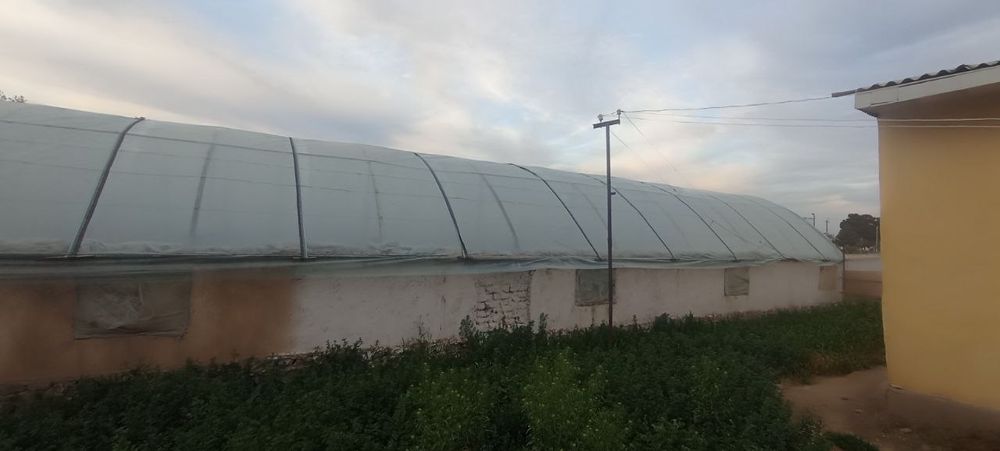 Parnik 10 sotih yer maydoniga ega