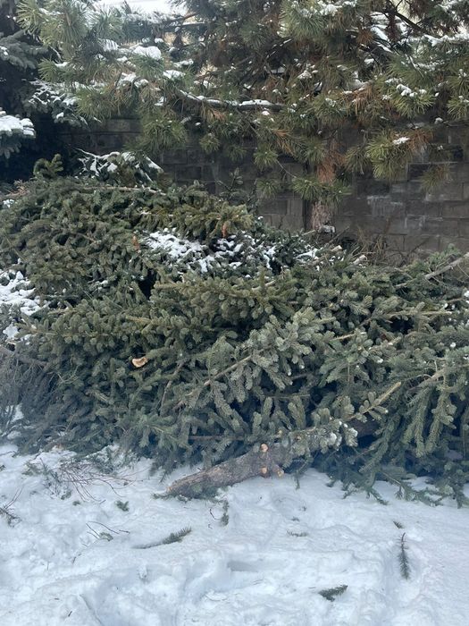 Продаем елку самовызов или яндекс