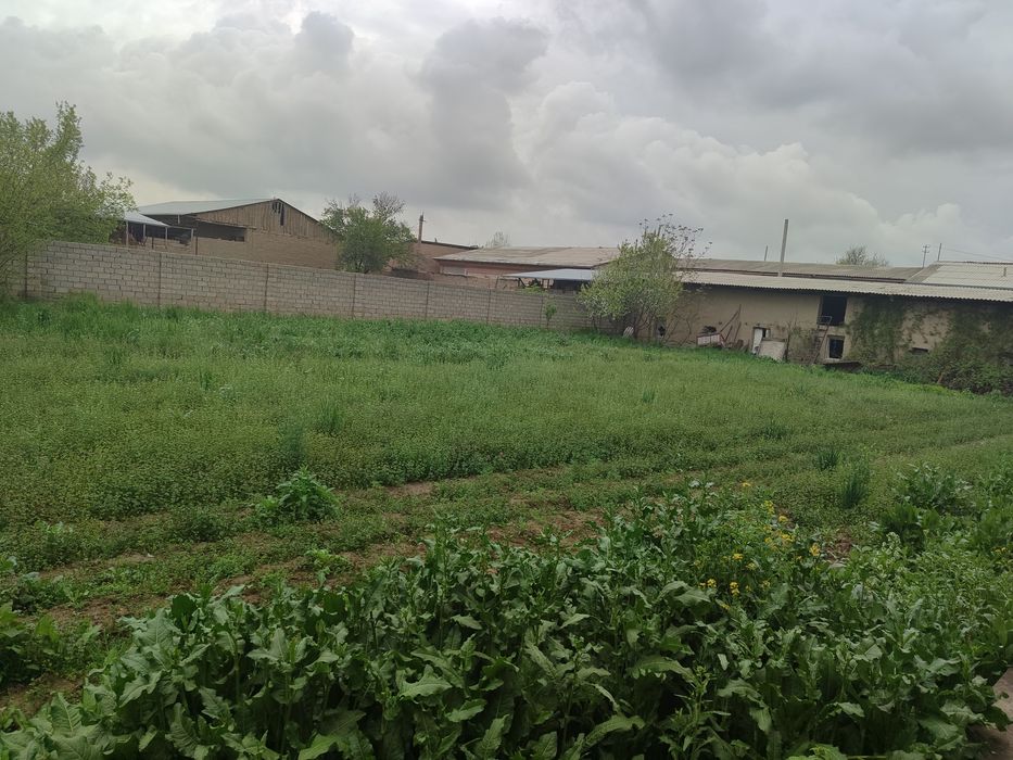 Toshkent tuman  navoiy