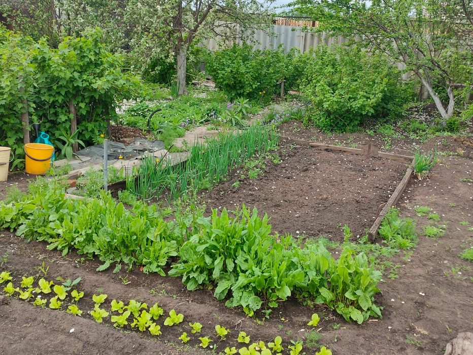 Продам дачный участок