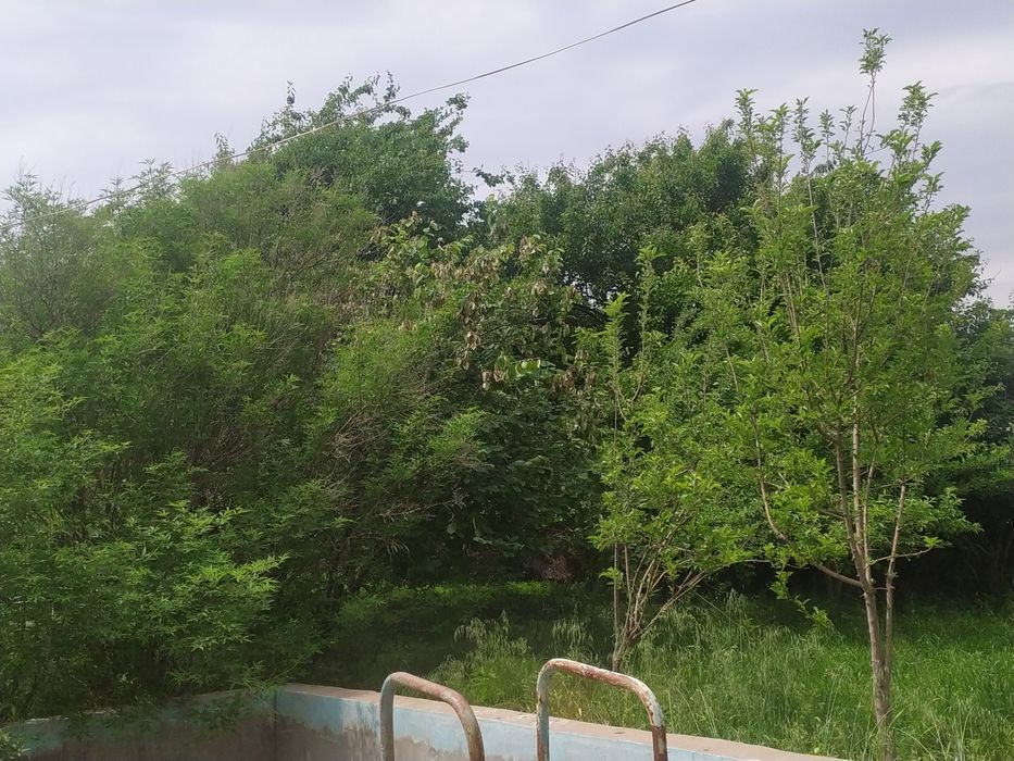 Срочно Продается дача!