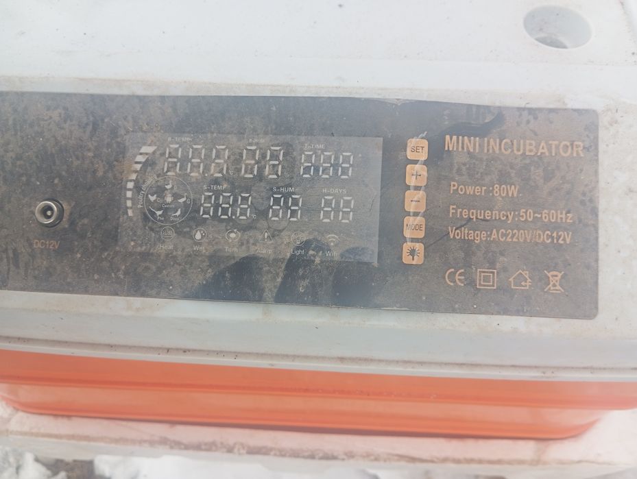 Инкубатор оранжевый автомат полный