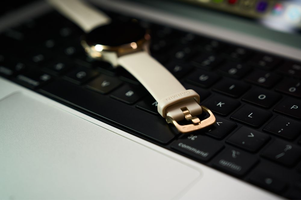 Часы Garmin Venu 3S