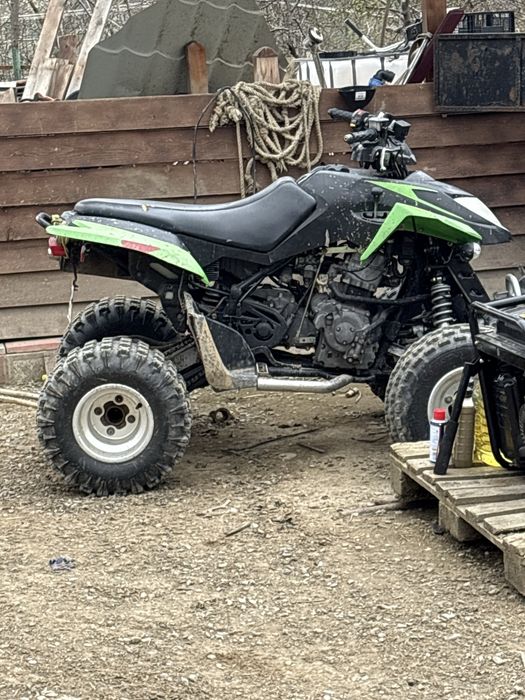 vand cat artic de 300cc