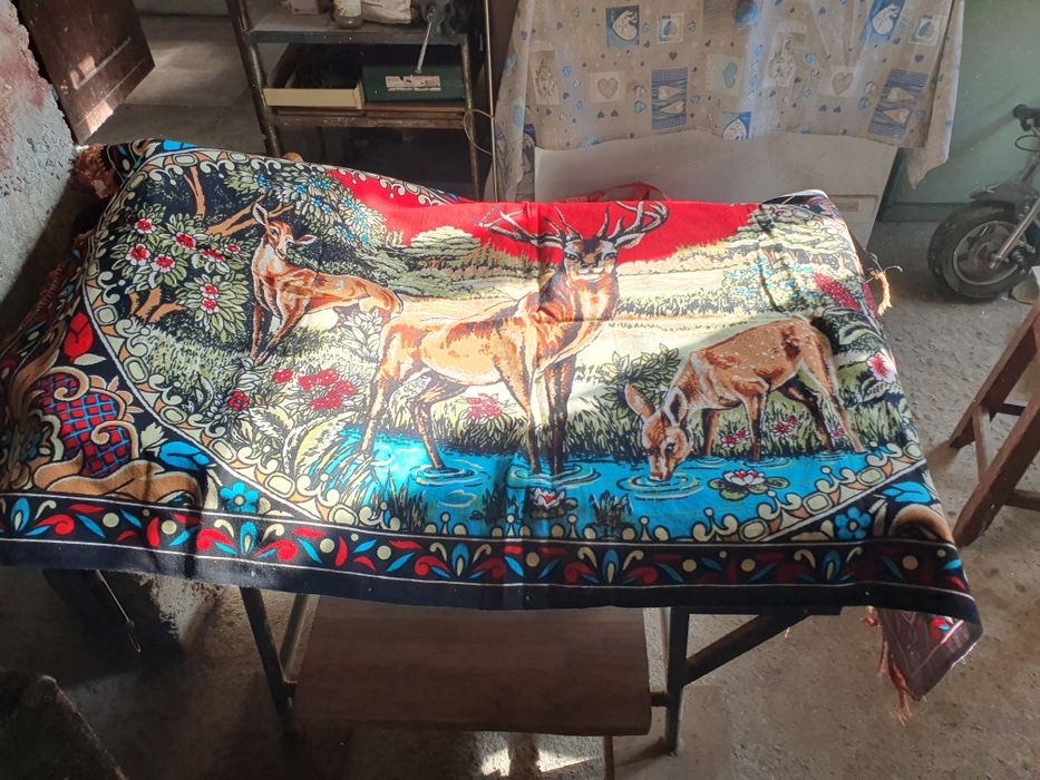 Diferite carpete oferta