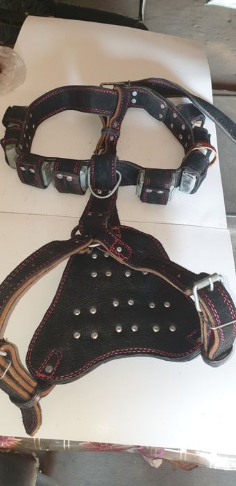 Шлейка с грузами