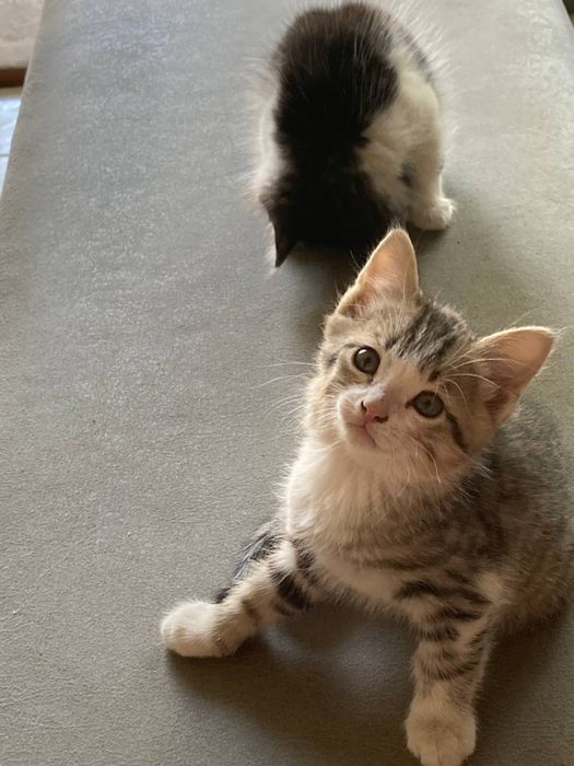 Porno jinsiy aloqa onlayn seksi etuk ona va ogil